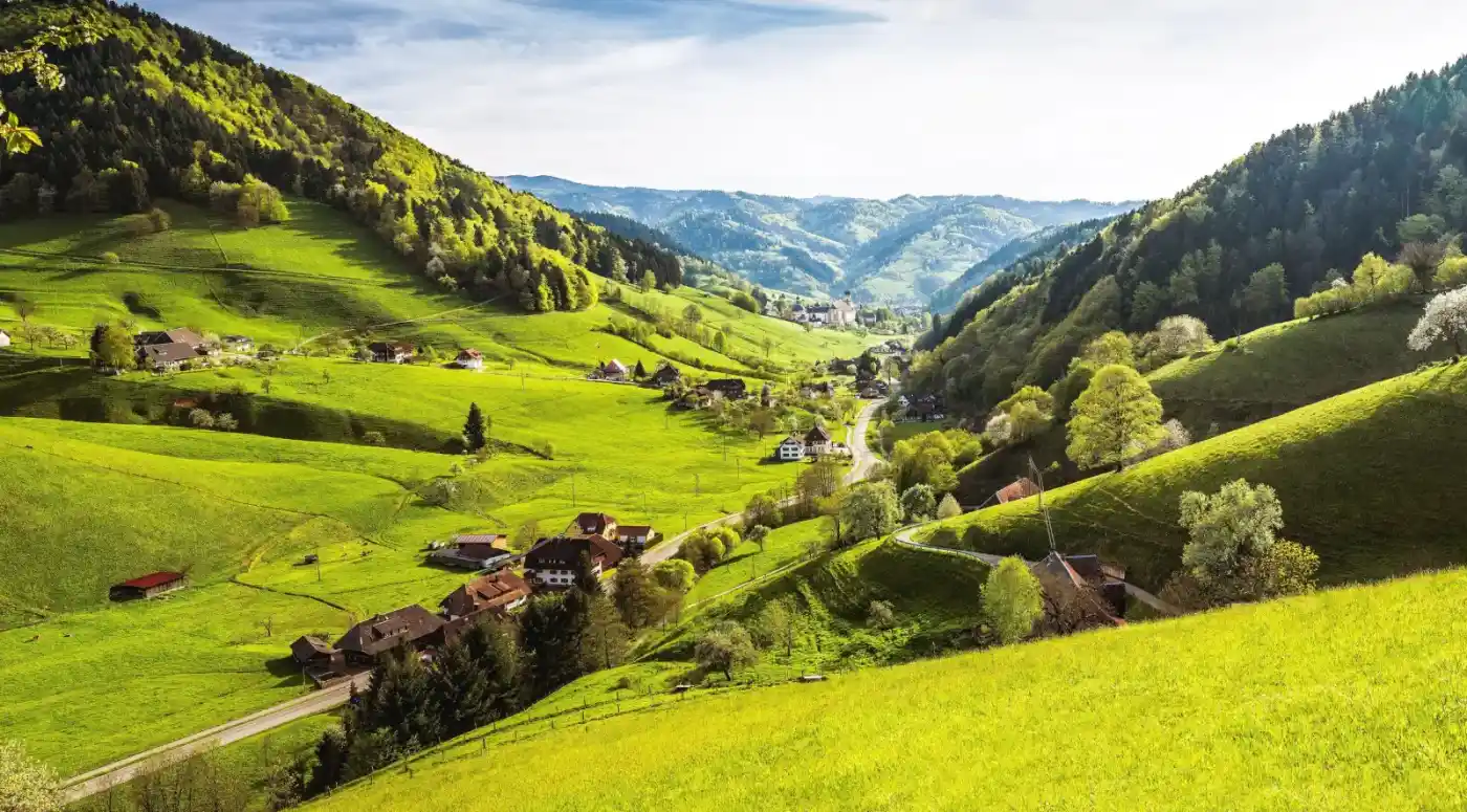 Schwarzwaldlandschaft aus der Luft